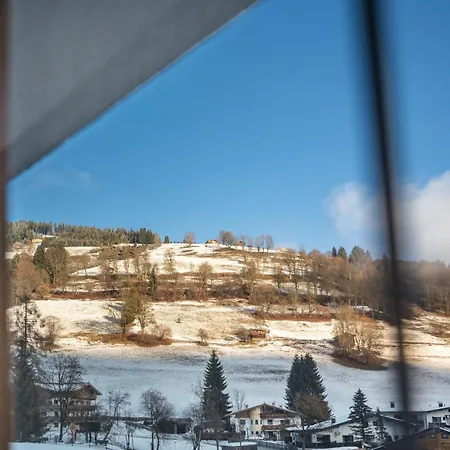 Haus Wildenbach Apartment Niederau