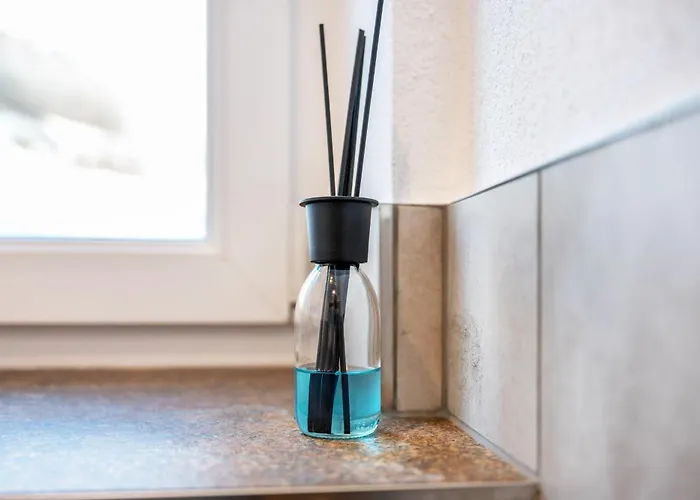 Haus Wildenbach Апартаменты Нидерау