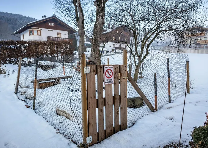 Апартаменты Haus Wildenbach Нидерау